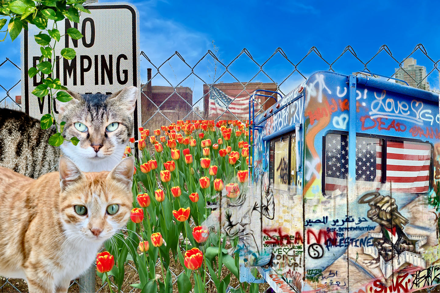 Postcard Art Pack: Two 4x6 Postcards —  Cat ❤️